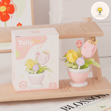 Hoa Tulip